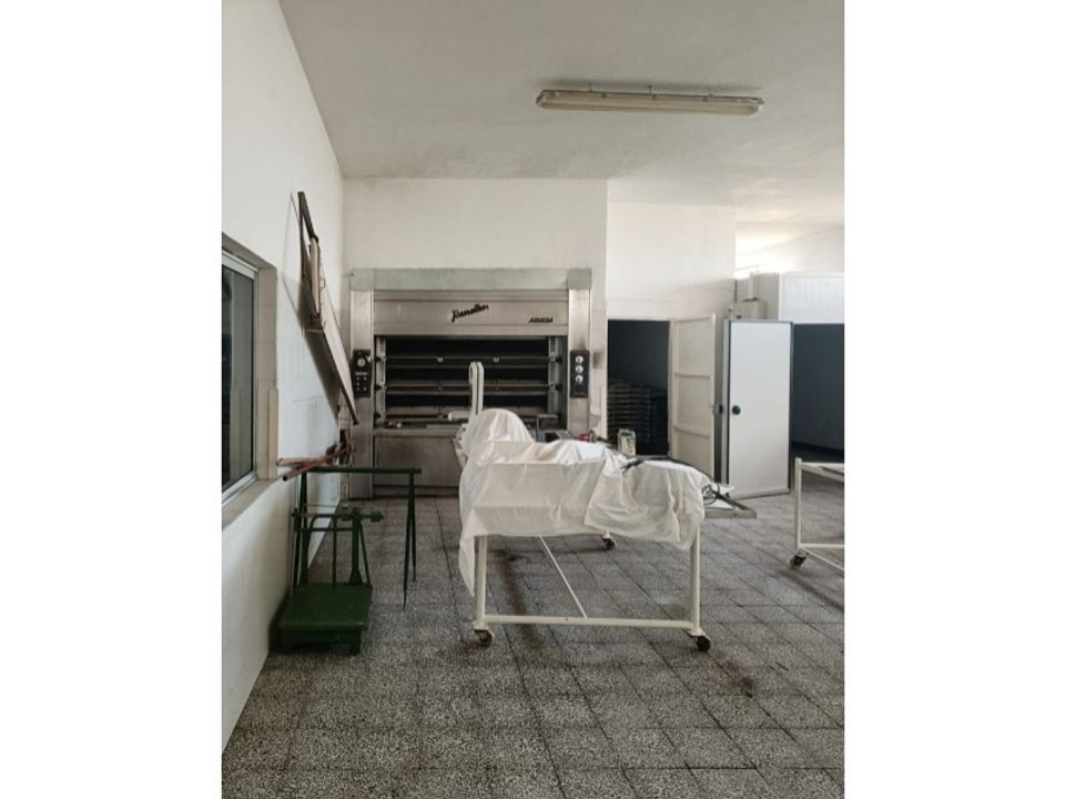 Erhvervsejendom i Alter do Chao, Portalegre - foto 5