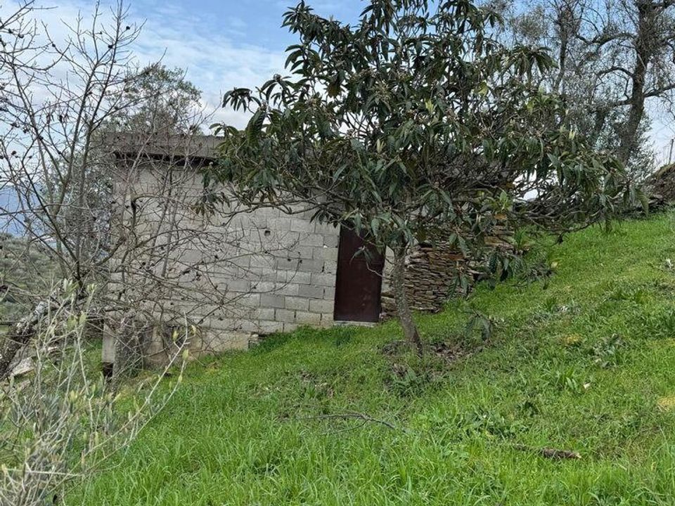 Tomt i Tabuaco, Viseu - bilde 2