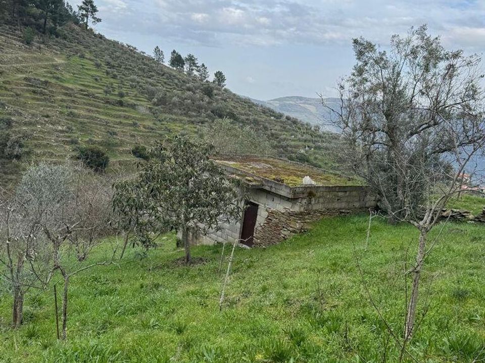 Tomt i Tabuaco, Viseu - bilde 1