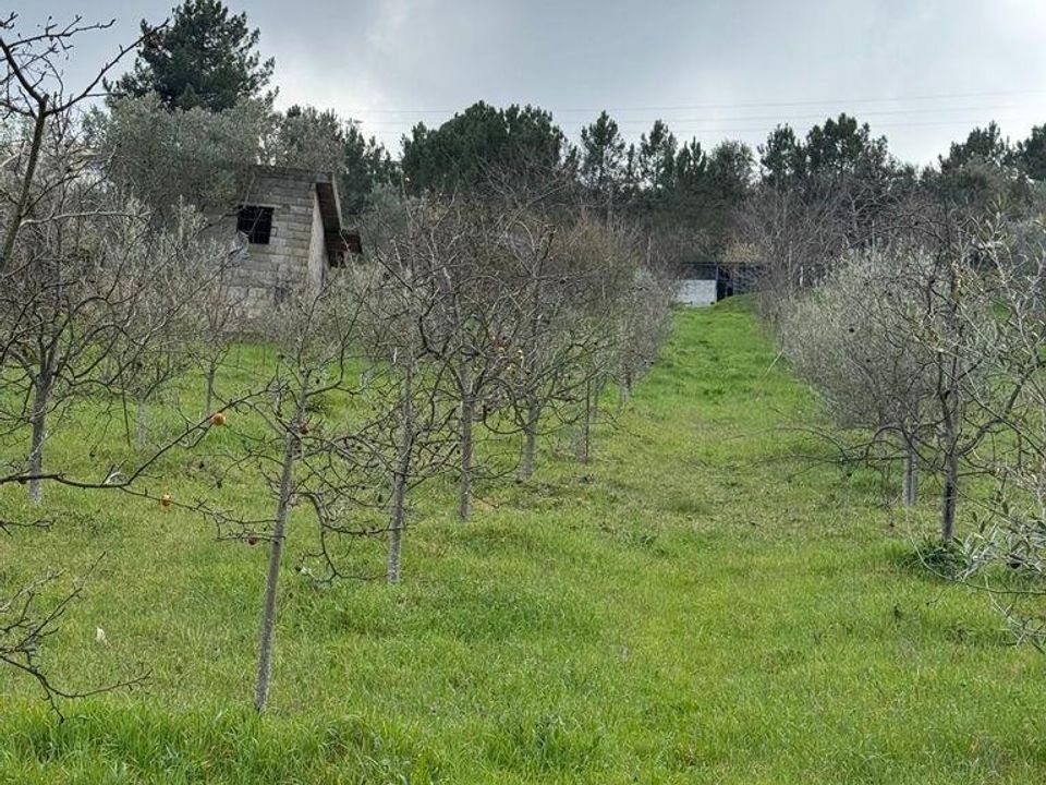 Tomt i Tabuaco, Viseu - bilde 3