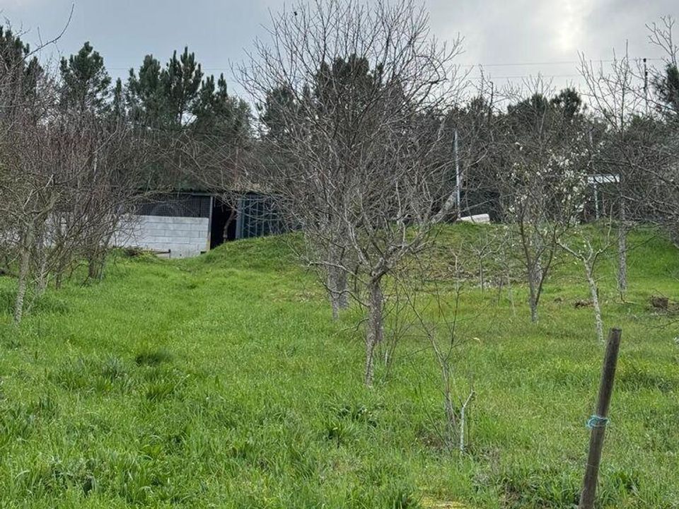 Tomt i Tabuaco, Viseu - bilde 5