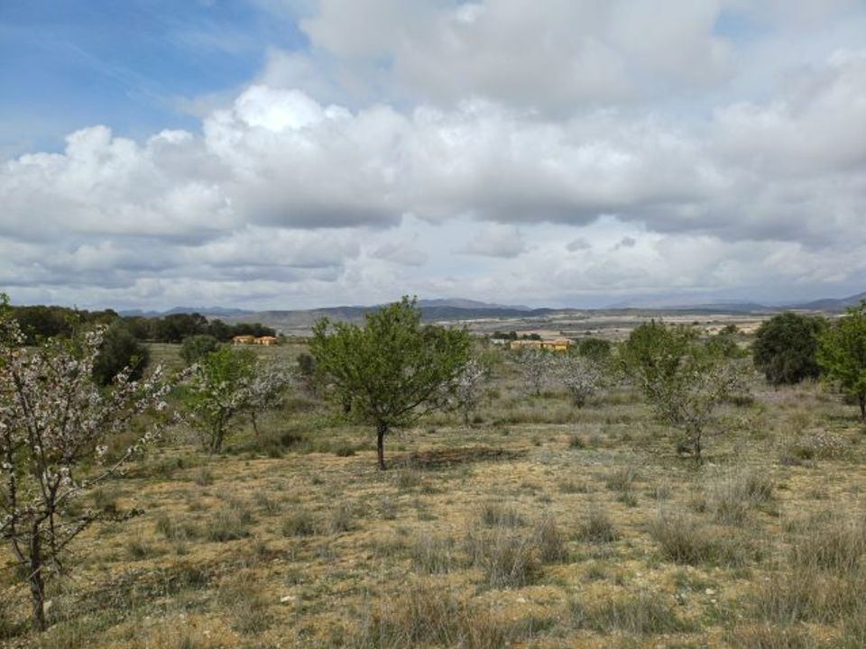 Villa i La Zarza, Murcia - foto 3