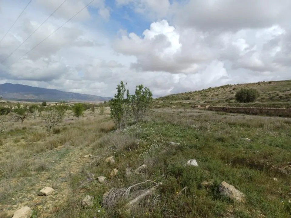 Villa i La Zarza, Murcia - foto 4