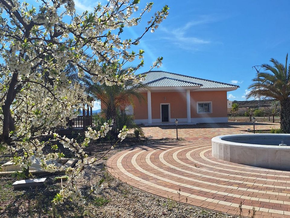 Villa i Pinoso, Alicante - foto 1