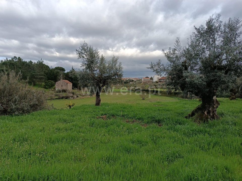 Tomt i Seia, Guarda - bilde 1