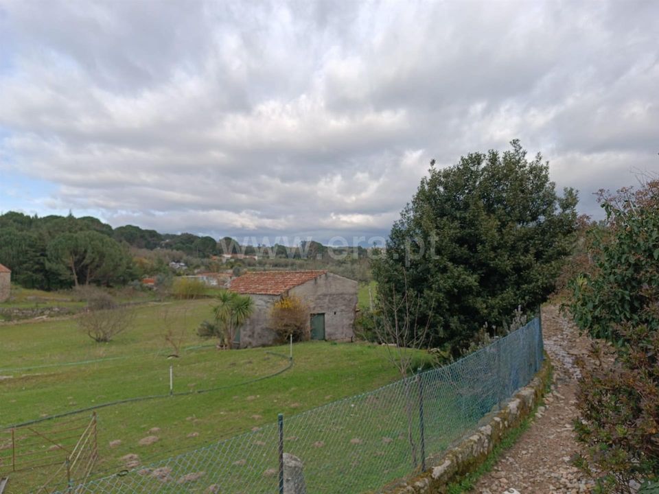 Tomt i Seia, Guarda - bilde 5