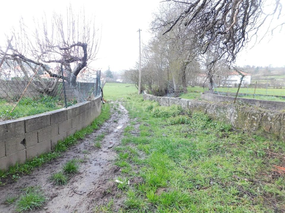 Tomt i Seia, Guarda - bilde 5