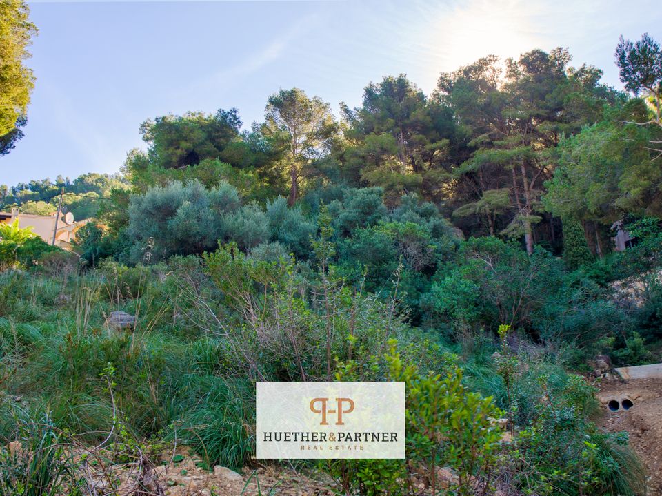 Helårsgrund i Canyamel, Mallorca - foto 3