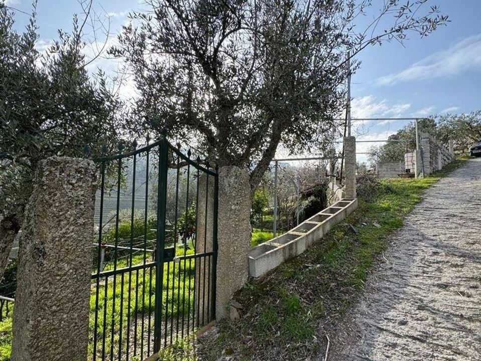 Tomt i Tabuaco, Viseu - bilde 4