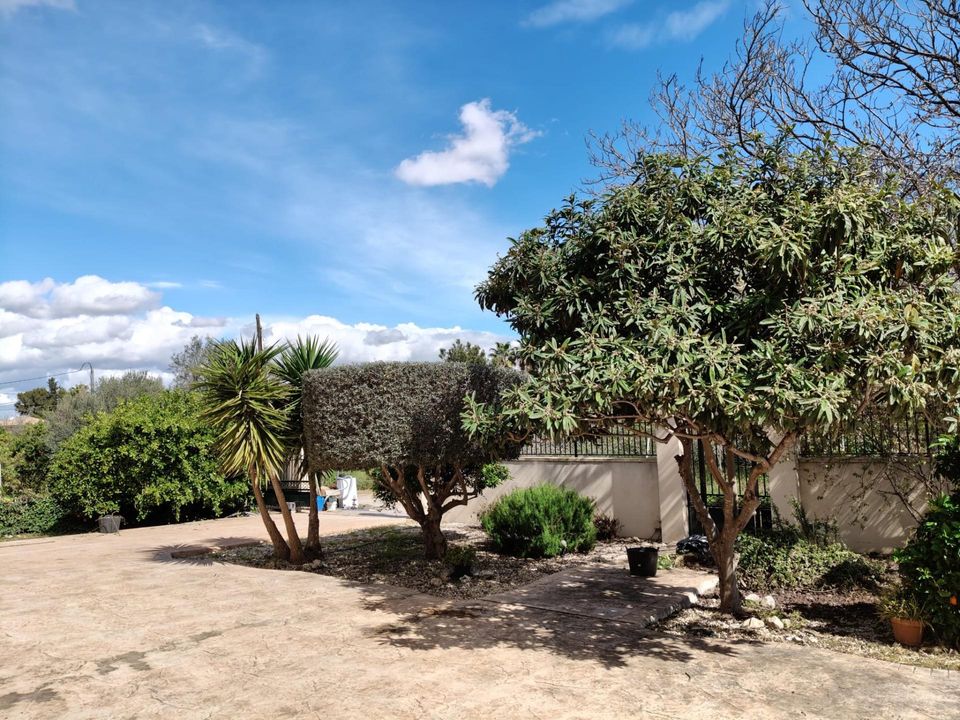 Finca en El Palmar (El Palmar), Murcia - foto 4