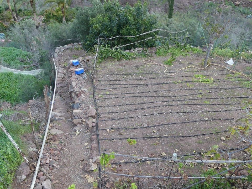 Terra a San Bartolome De Tirajana, Gran Canaria - foto 2