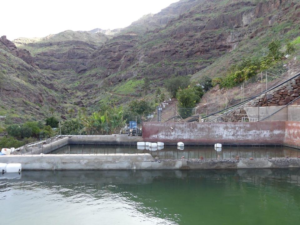 Terra a San Bartolome De Tirajana, Gran Canaria - foto 3