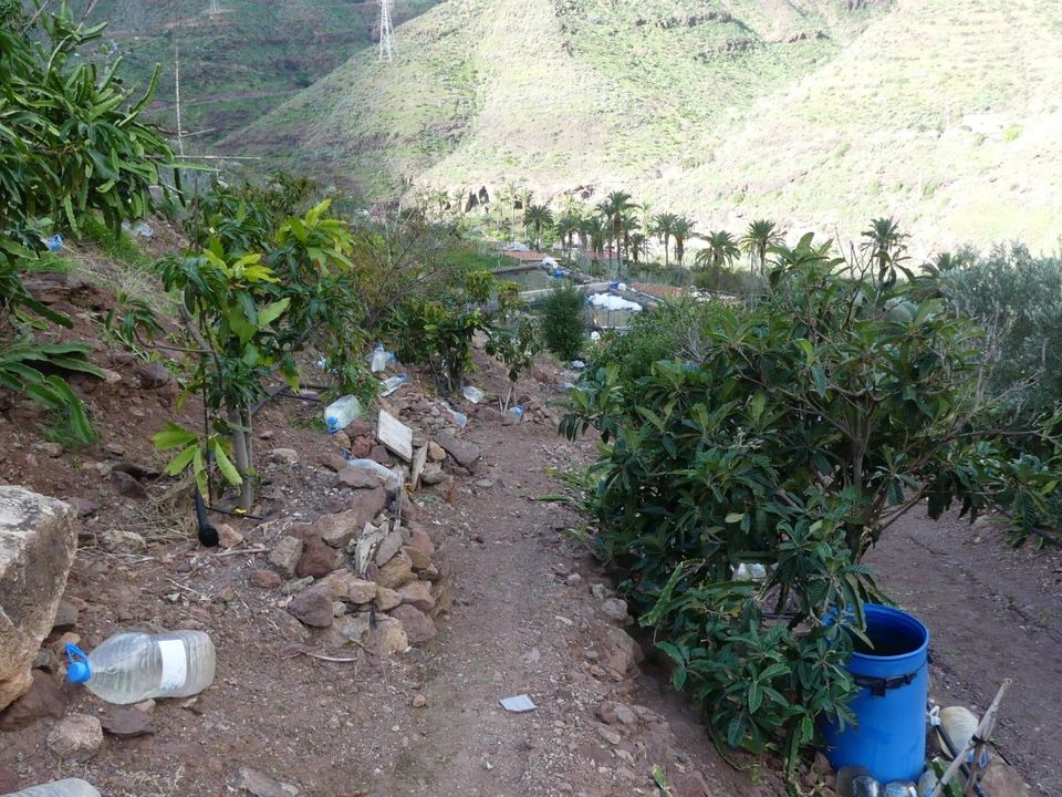 Terra a San Bartolome De Tirajana, Gran Canaria - foto 4