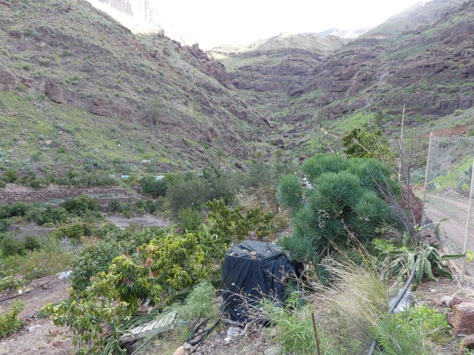 Terra a San Bartolome De Tirajana, Gran Canaria - foto 5