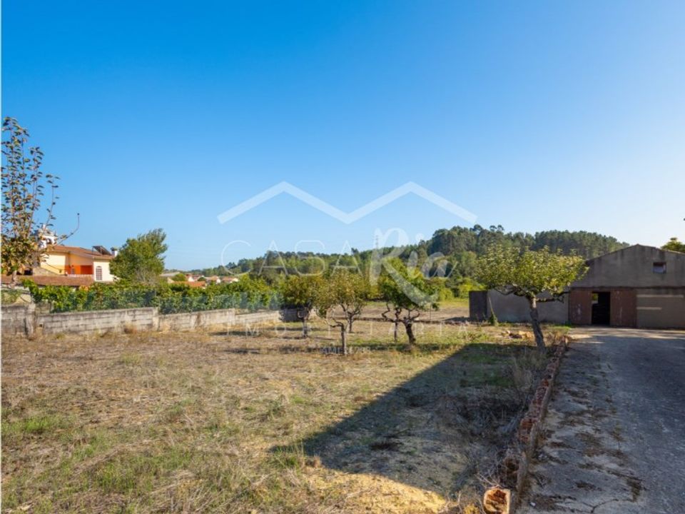 Villa i Anadia, Aveiro - foto 2