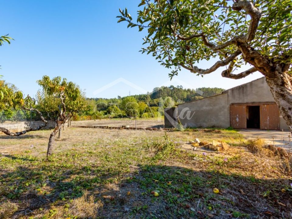Villa i Anadia, Aveiro - foto 4