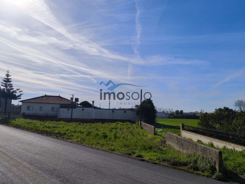 Helårsgrund i Murtosa, Aveiro - foto 2