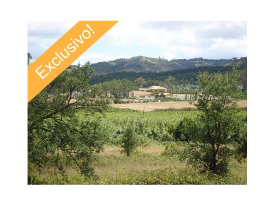 Farm i Torres Vedras, Lisbon - foto 1