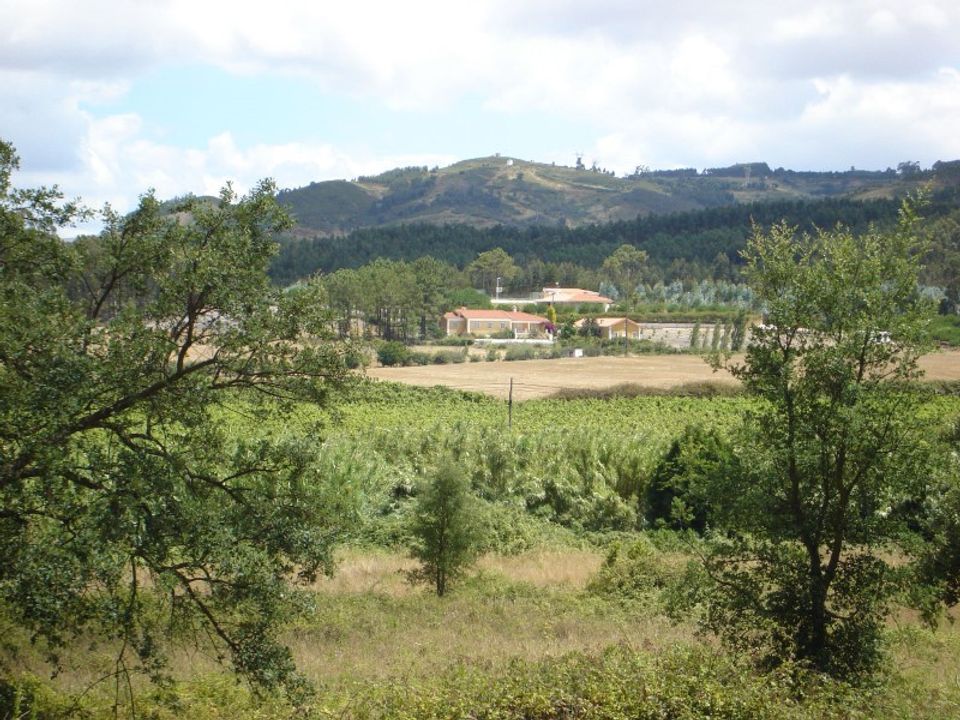 Farm i Torres Vedras, Lisbon - foto 3