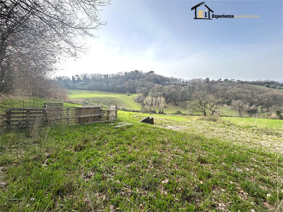 Helårsgrund i Montopoli di Sabina, Rieti - foto 4