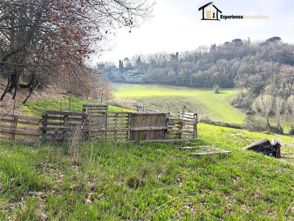 Helårsgrund i Montopoli di Sabina, Rieti - foto 5