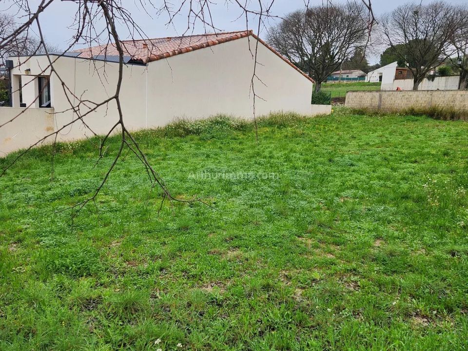 Land in Vendémian, Herault - photo 3
