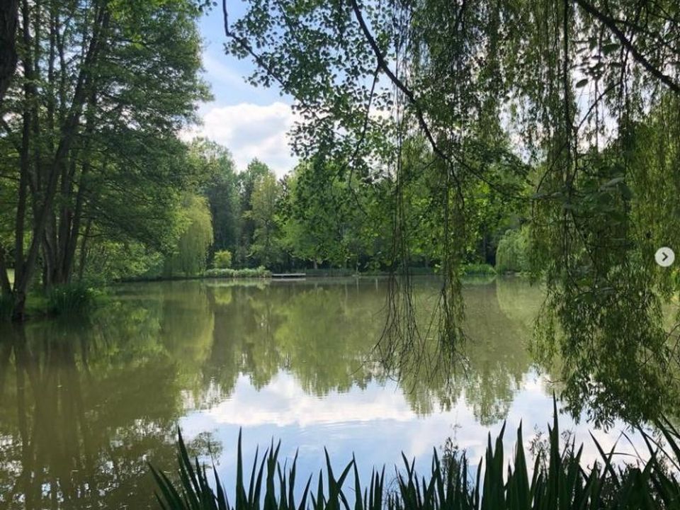 Tomt i Verdelot, Seine-et-Marne - bilde 3