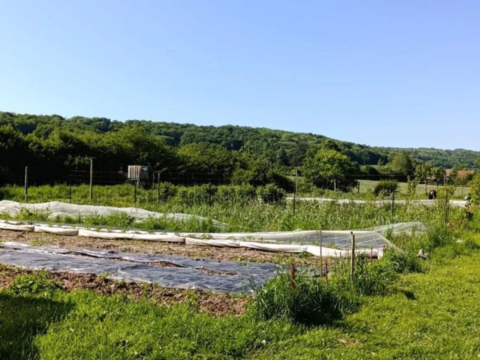 Tomt i Verdelot, Seine-et-Marne - bilde 4
