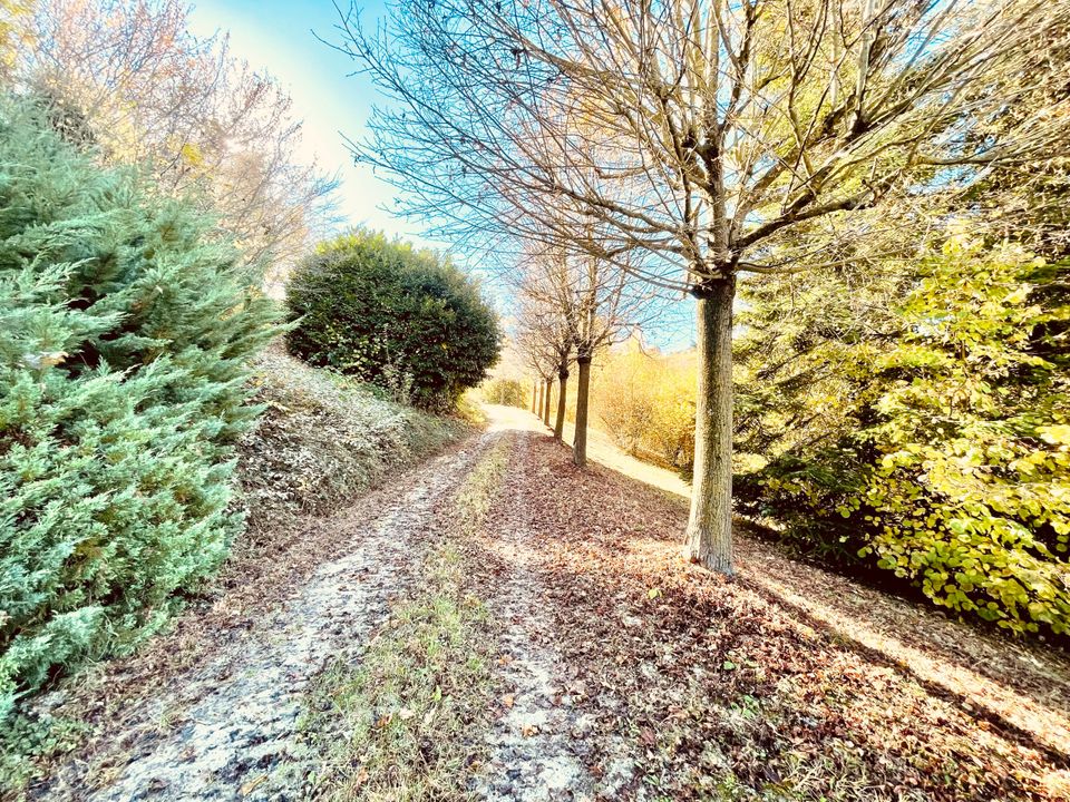 Villa i Farigliano, Cuneo - foto 4