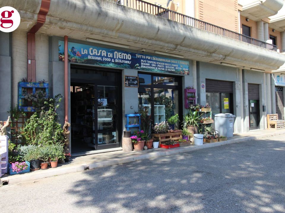 L'establiment comercial a Vasto, Chieti - foto 2