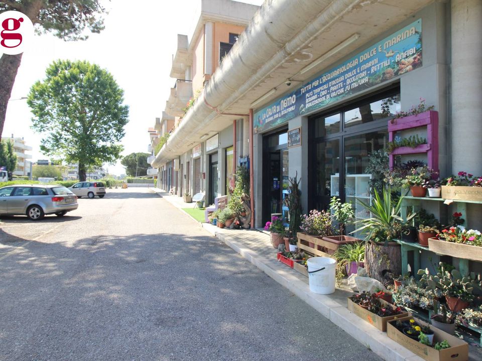 L'establiment comercial a Vasto, Chieti - foto 1