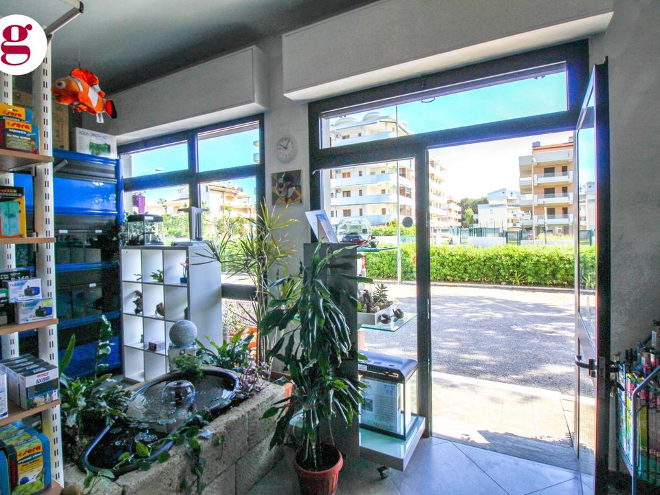 L'establiment comercial a Vasto, Chieti - foto 5