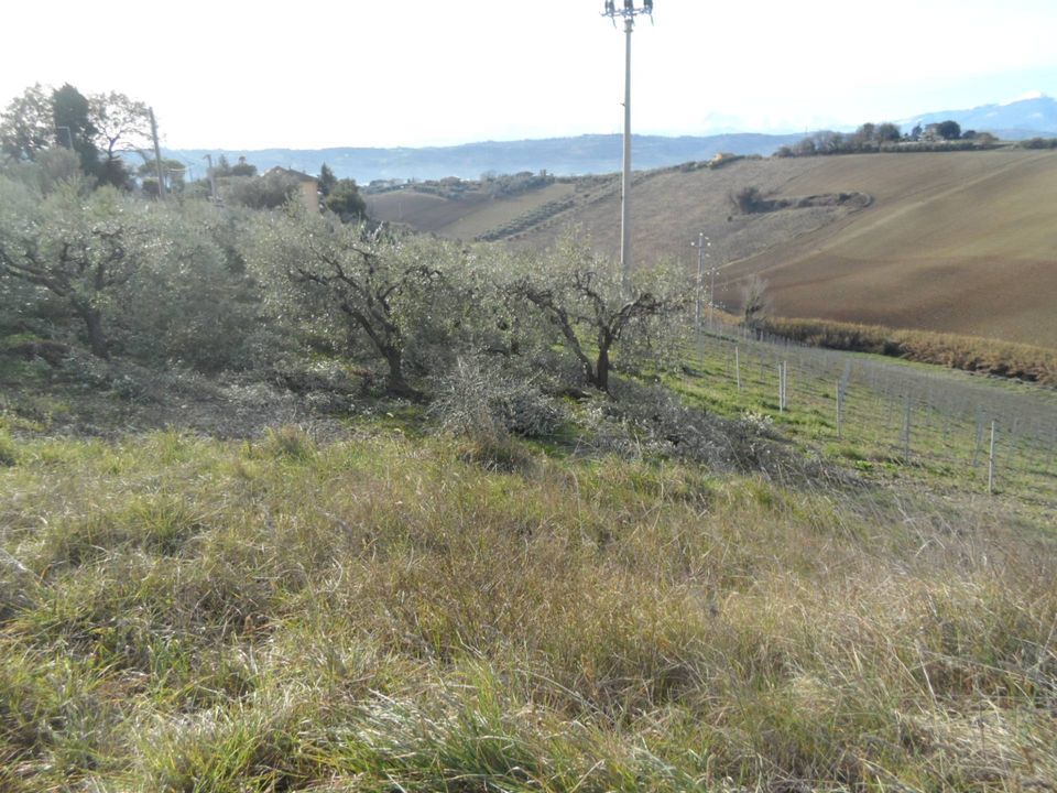 Villa i Monteprandone, Ascoli Piceno - foto 3