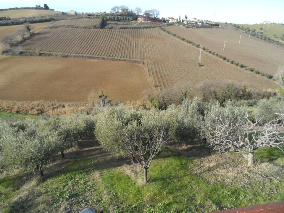 Villa i Monteprandone, Ascoli Piceno - foto 4