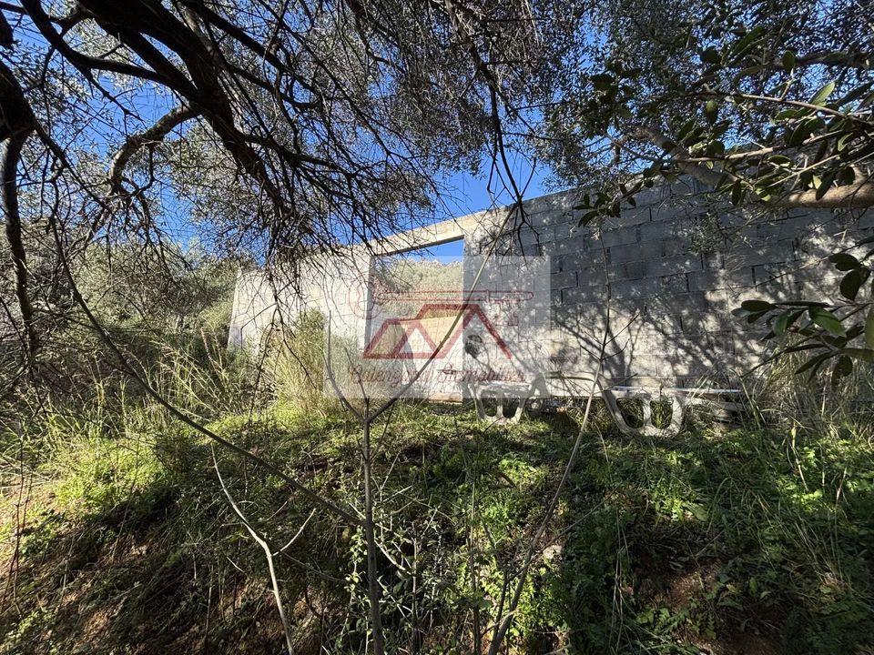 Helårsgrund i Calenzana, Haute-Corse - foto 1