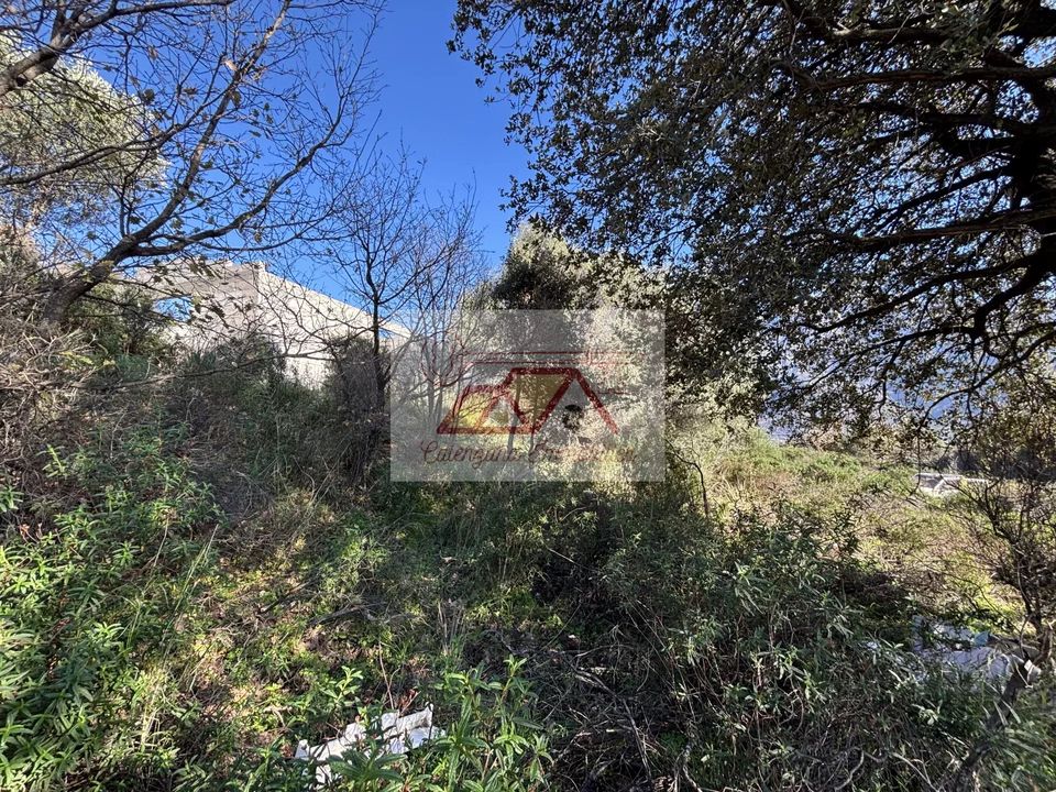 Helårsgrund i Calenzana, Haute-Corse - foto 3