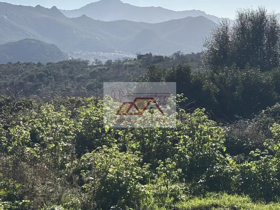 Helårsgrund i Calenzana, Haute-Corse - foto 5