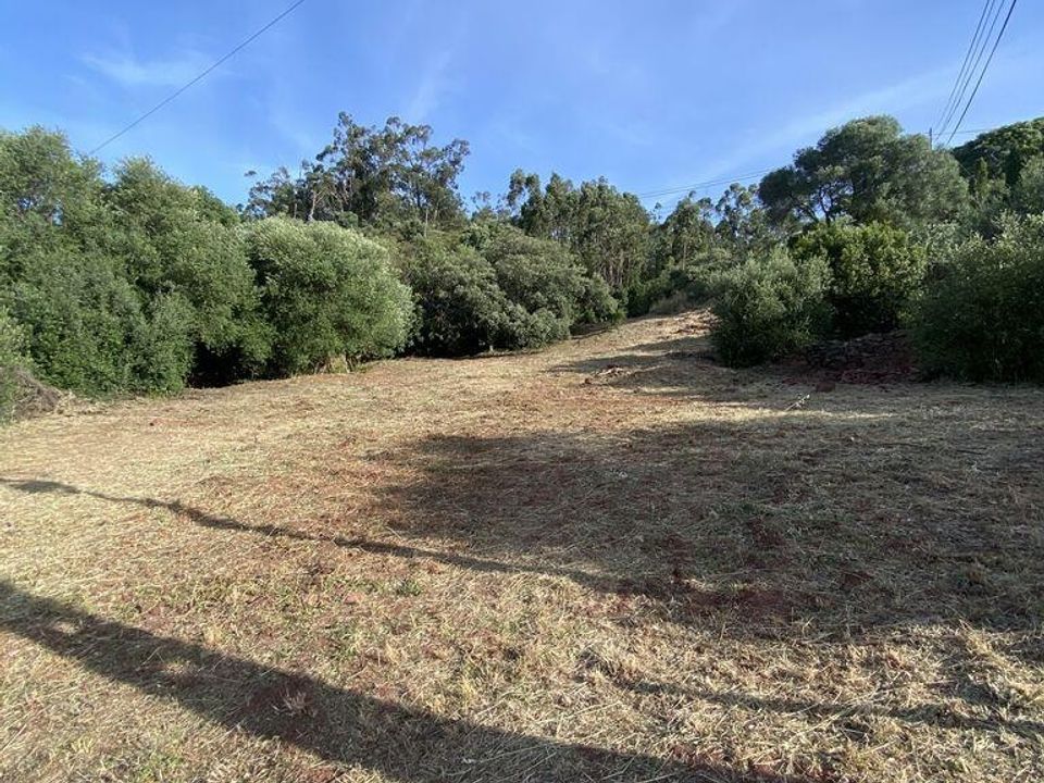 Helårsgrund i Sao Bras de Alportel, Faro - foto 4