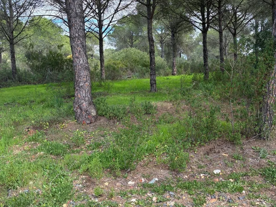 Grond in Aljaraque, Huelva - foto 2