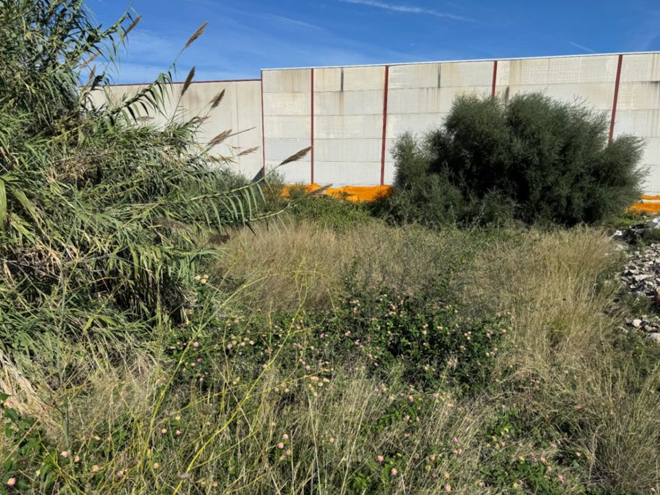 Helårsgrund i Pego, Alicante - foto 3
