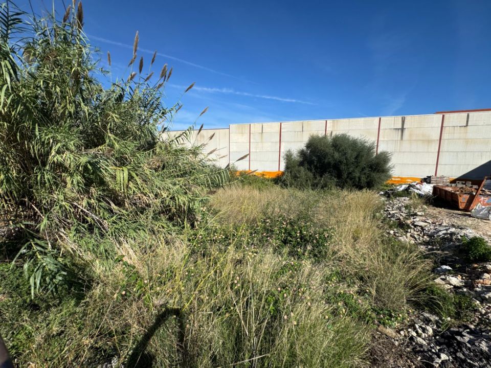 Helårsgrund i Pego, Alicante - foto 4