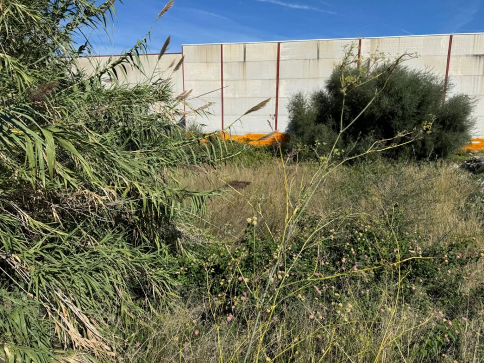 Helårsgrund i Pego, Alicante - foto 5