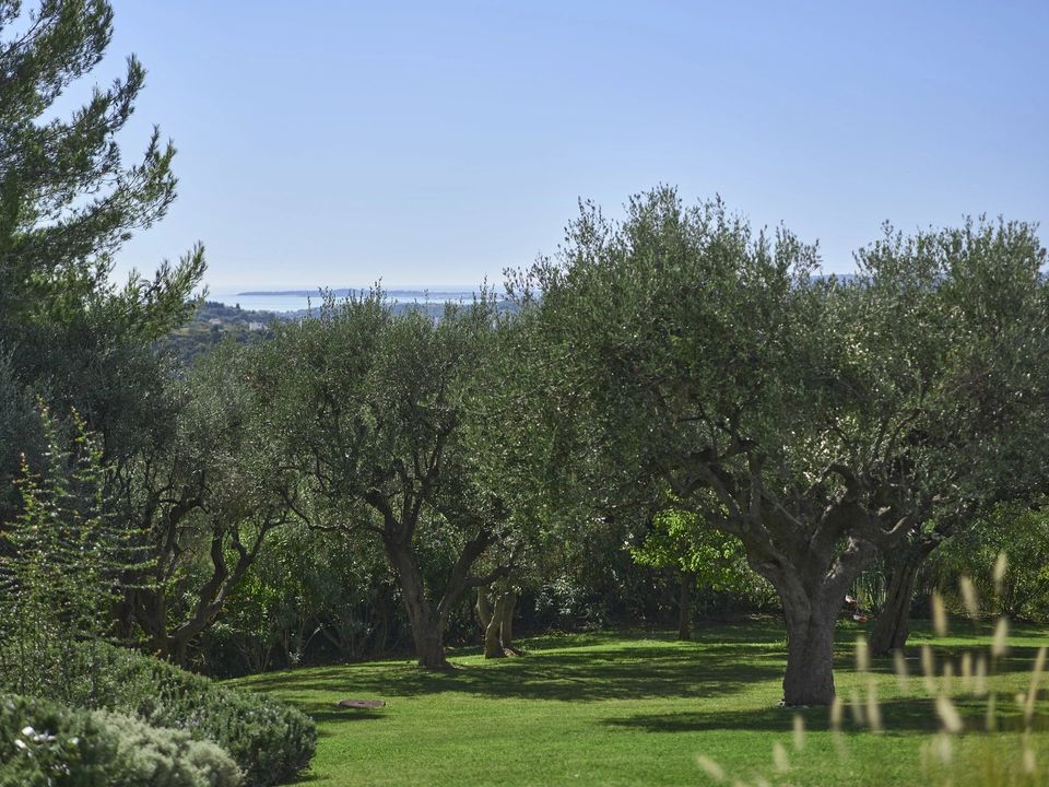 Villa i Nice, Alpes-Maritimes - foto 2