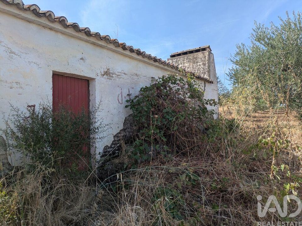 Farm i Campo Maior, Portalegre - foto 2