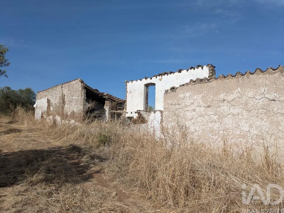 Farm i Campo Maior, Portalegre - foto 3