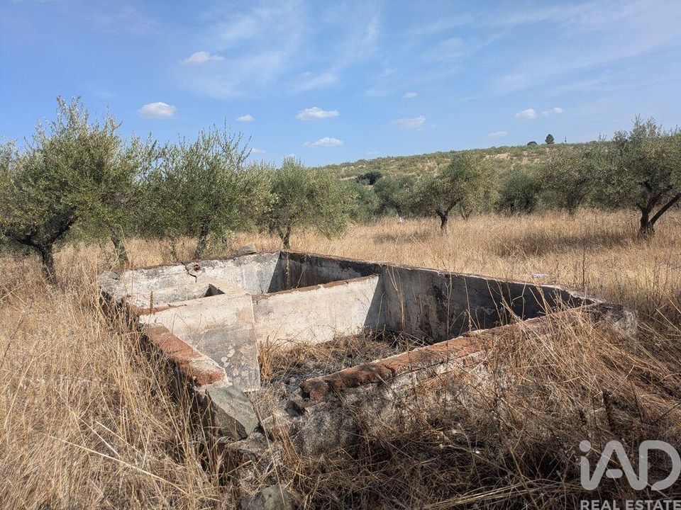 Farm i Campo Maior, Portalegre - foto 4