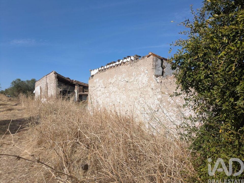 Farm i Campo Maior, Portalegre - foto 5