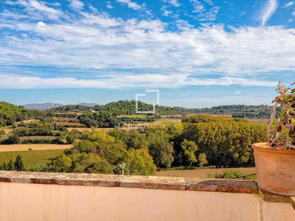 Landejendom i La Bisbal D'emporda, Gerona - foto 3