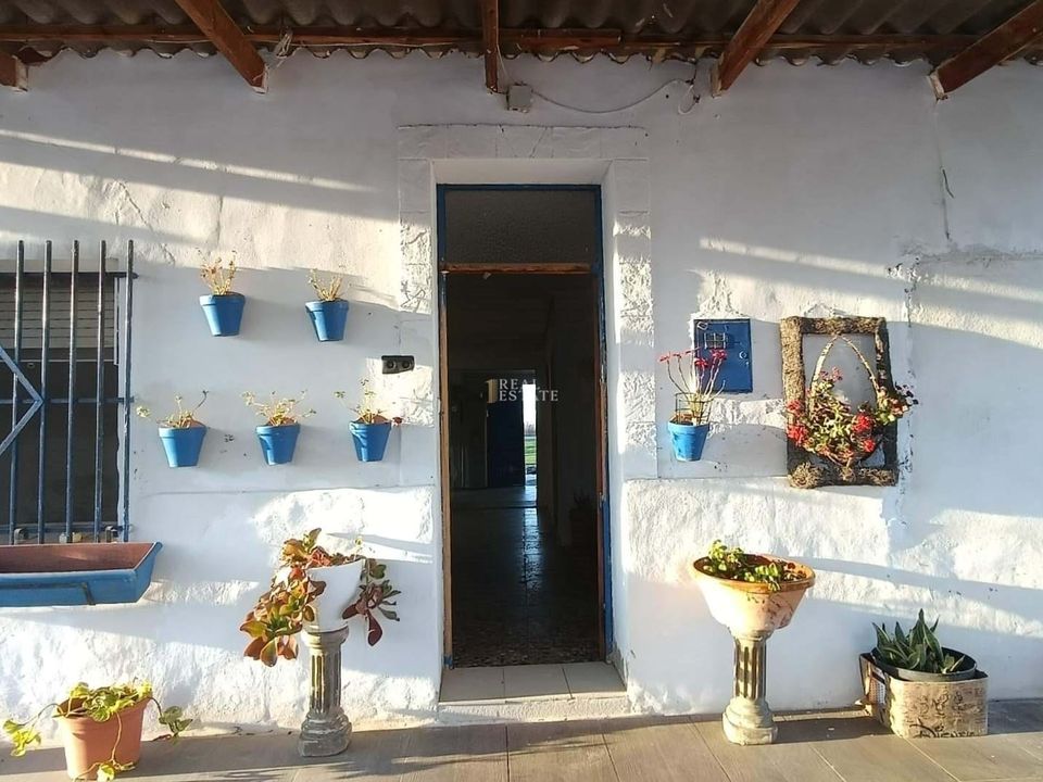 Landejendom i Crevillent, Alicante - foto 2