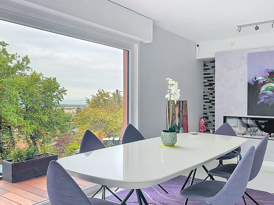 Villa i Thonon-les-Bains, Haute-Savoie - foto 3